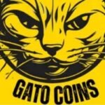 Comunidade Gato Coins com Erivelton Campos: Benefícios e Soluções para Criadores de Conteúdo no YouT...
