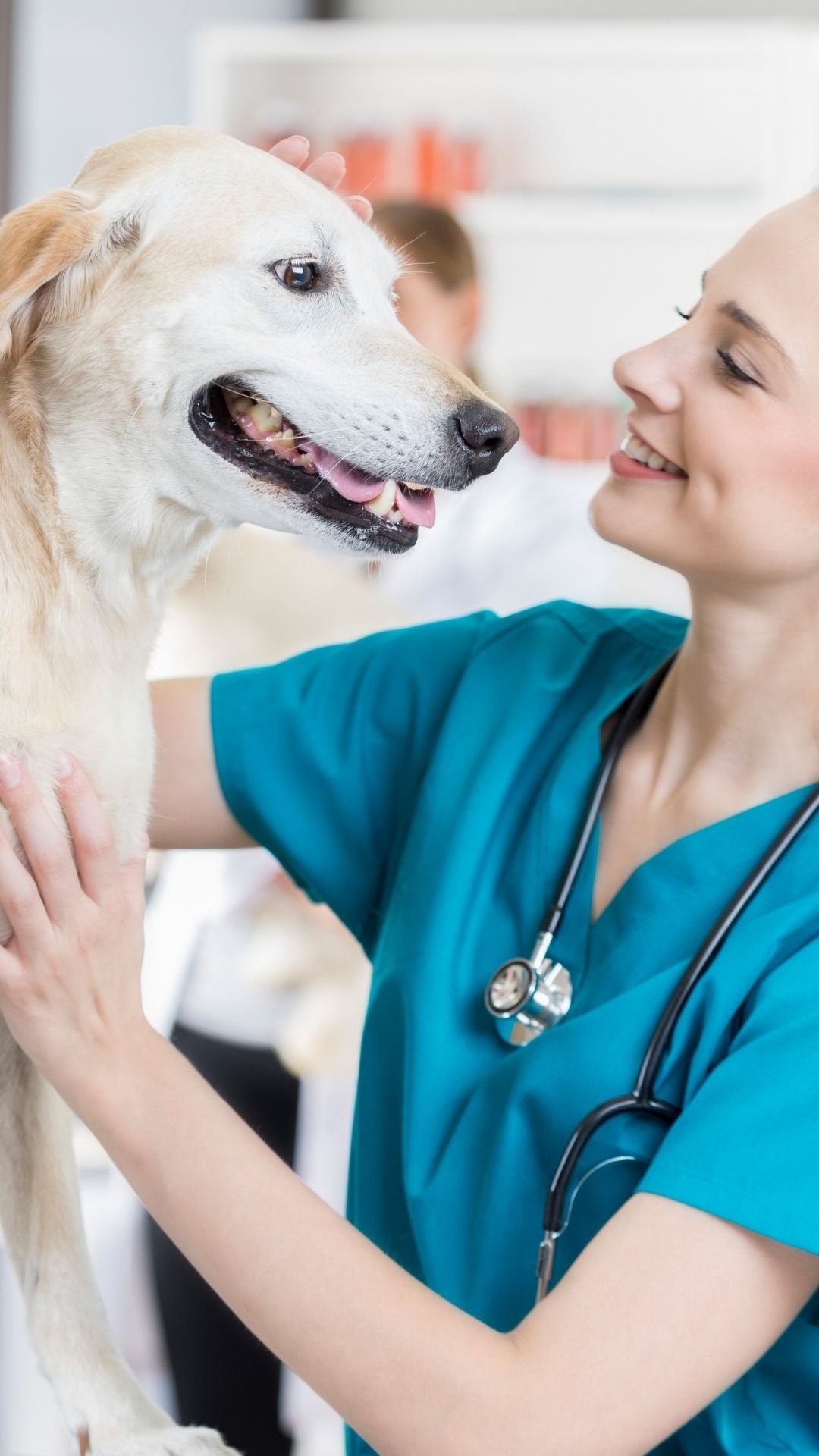 Torne-se um Auxiliar de Veterinário