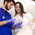 Curso de Auxiliar de Veterinário