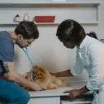 Auxiliar de Veterinario